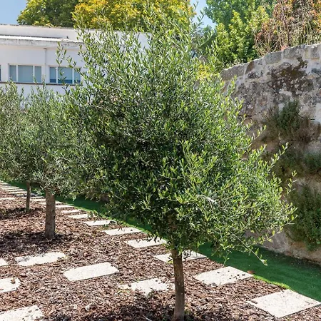 Guestready - Jardim Oliveiras מלון *